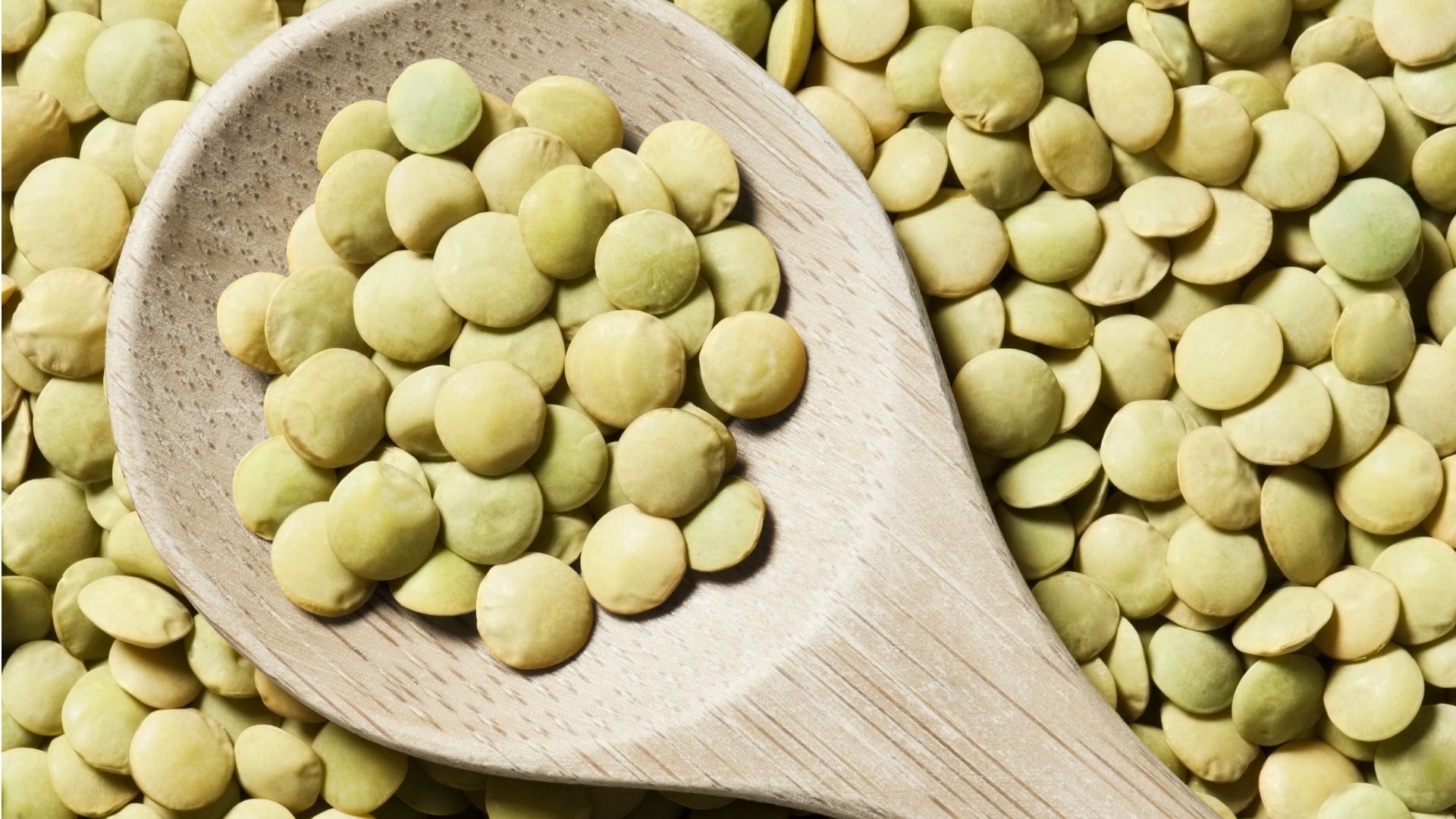 Yeşil Mercimek 25 kg