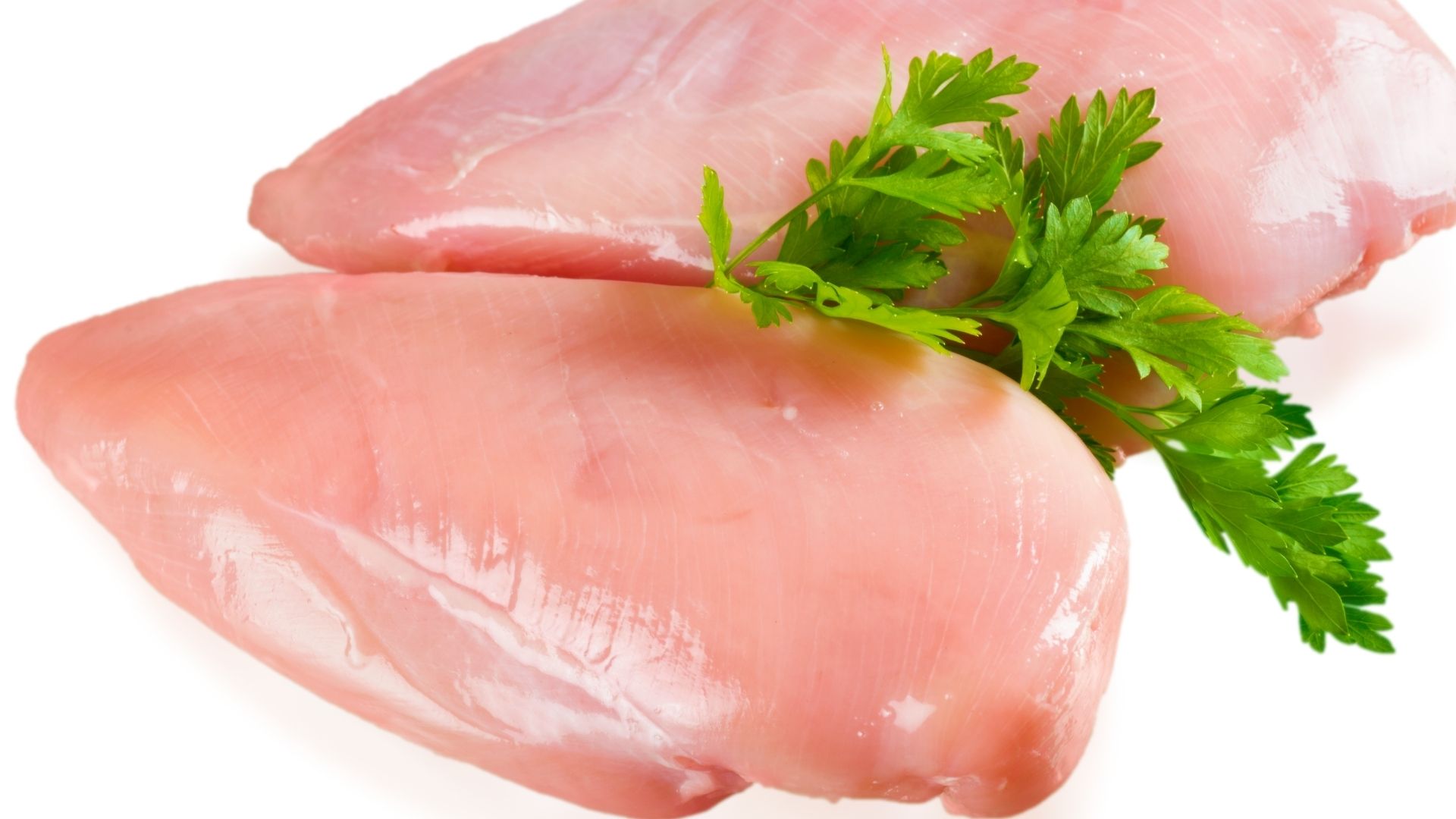 Tavuk Göğüs 10 kg Koli